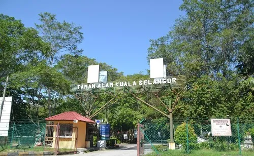 Kuala Selangor National Park (Taman Aman National Park)