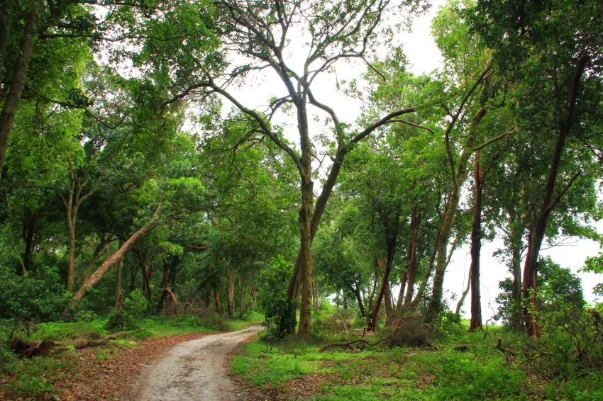 Pasir Panjang Hutan Lipur, Port Dickson