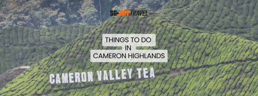 things to do in cameron highlands